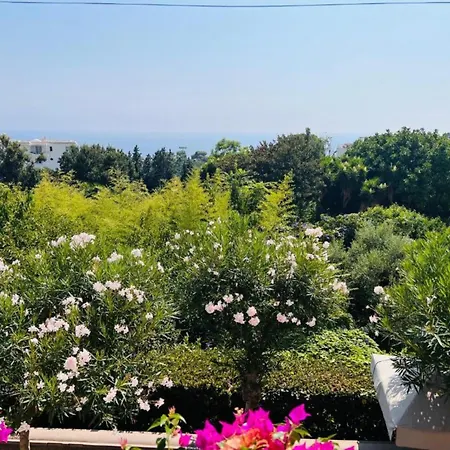 - Andri Κάπρι